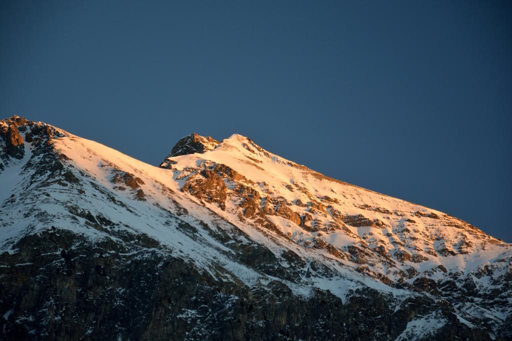Ferienwohnungen Chesa Clois 24 Lenzerheide Eksteriør bilde